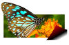 atab2d2.png