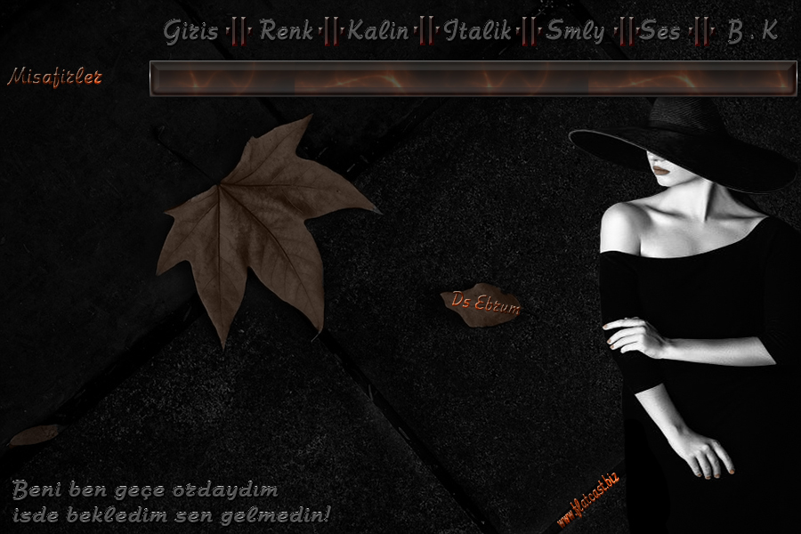 ebrumm06gelmedinbayanu7rpd.jpg