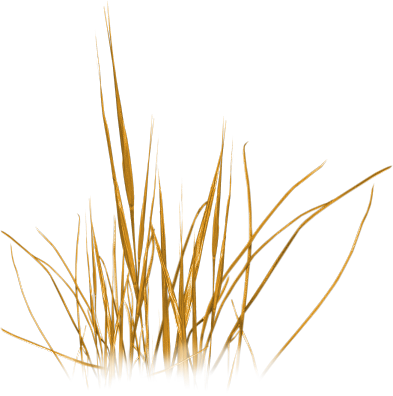 0_8738a_30f05bf6_liaumj.png