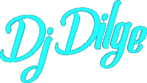 dilge3hduc2.gif