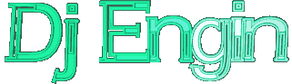 engin36guqr.gif