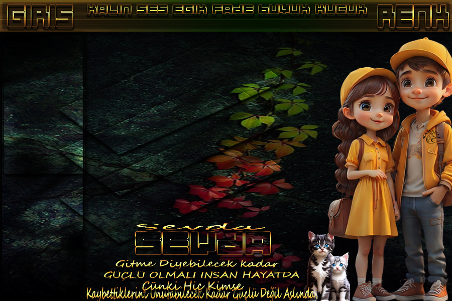 sevdagitmediyebilecekcmfbw.jpg