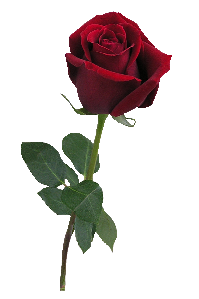 67291d73.png