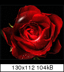 32305556cadx6.gif