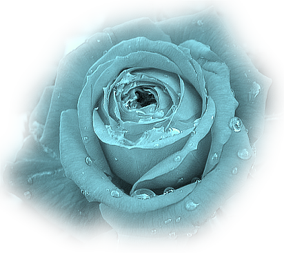 0_5e477_d9aa356d_ljsyoy.png