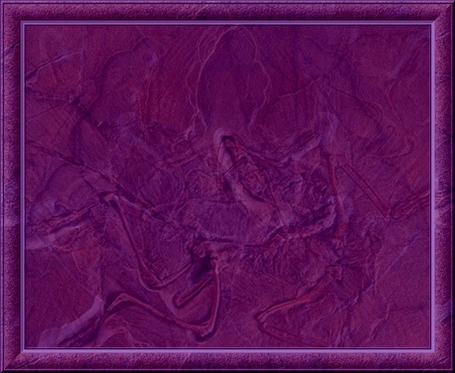 93360142.jpg