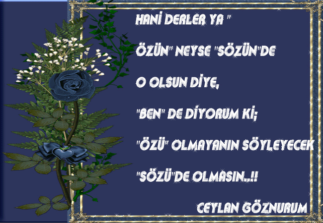 hani-derler-yaguo96.gif