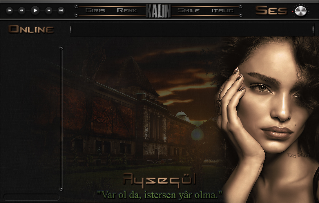var-ol--aysegltokij.jpg