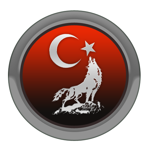 turkflag293dsr.png